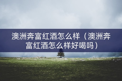 澳洲奔富红酒怎么样（澳洲奔富红酒怎么样好喝吗）