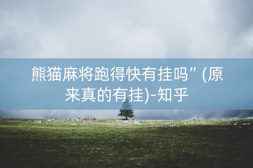 熊猫麻将跑得快有挂吗”(原来真的有挂)-知乎