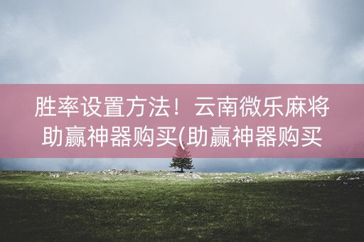 胜率设置方法！云南微乐麻将助赢神器购买(助赢神器购买)