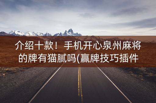 介绍十款！手机开心泉州麻将的牌有猫腻吗(赢牌技巧插件安装)