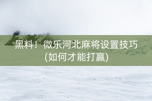 黑料！微乐河北麻将设置技巧(如何才能打赢)