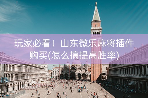 玩家必看！山东微乐麻将插件购买(怎么搞提高胜率)