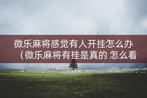 微乐麻将感觉有人开挂怎么办（微乐麻将有挂是真的 怎么看）