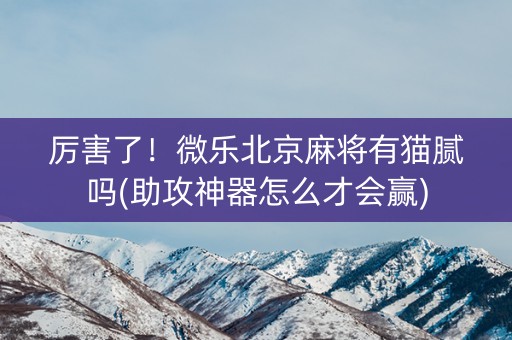 厉害了！微乐北京麻将有猫腻吗(助攻神器怎么才会赢)