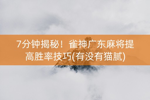 7分钟揭秘！雀神广东麻将提高胜率技巧(有没有猫腻)