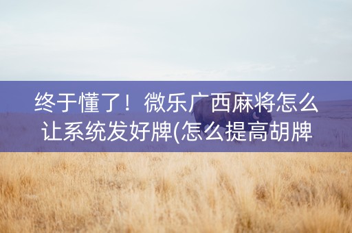 终于懂了！微乐广西麻将怎么让系统发好牌(怎么提高胡牌率)