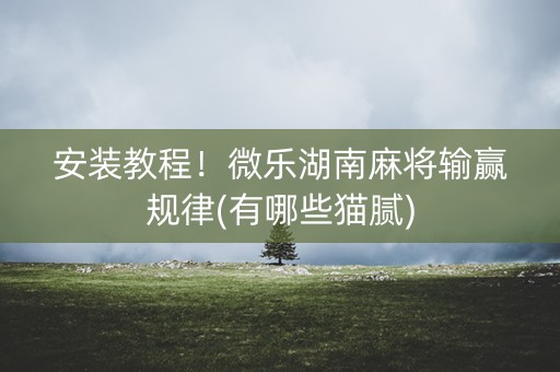 安装教程！微乐湖南麻将输赢规律(有哪些猫腻)