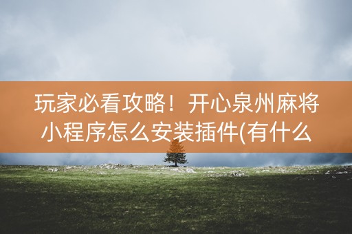 玩家必看攻略！开心泉州麻将小程序怎么安装插件(有什么规律)