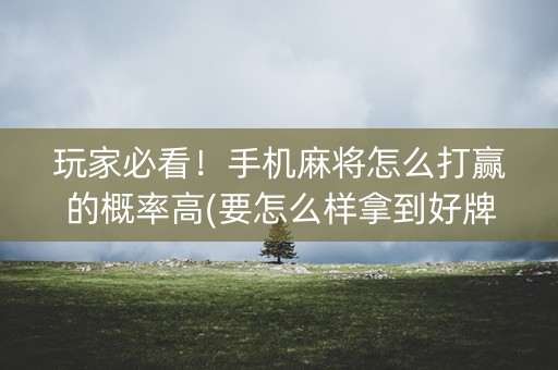 玩家必看！手机麻将怎么打赢的概率高(要怎么样拿到好牌)