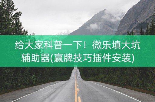 给大家科普一下！微乐填大坑辅助器(赢牌技巧插件安装)