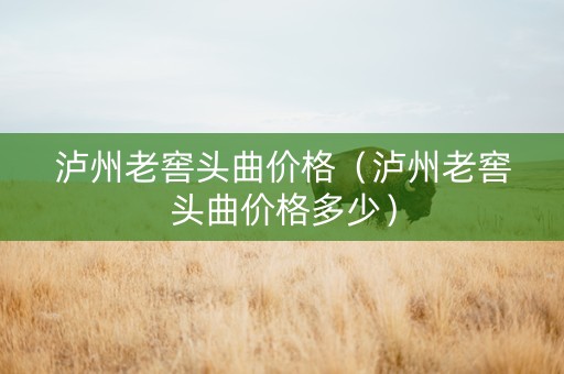 泸州老窖头曲价格（泸州老窖头曲价格多少）