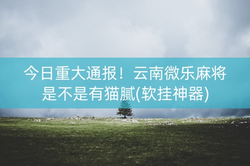 今日重大通报！云南微乐麻将是不是有猫腻(软挂神器)