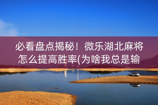 必看盘点揭秘！微乐湖北麻将怎么提高胜率(为啥我总是输)