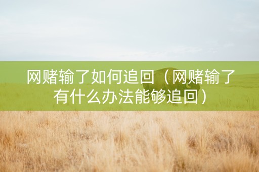 网赌输了如何追回（网赌输了有什么办法能够追回）