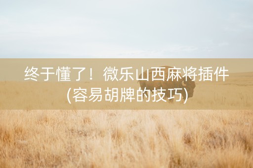 终于懂了！微乐山西麻将插件(容易胡牌的技巧)
