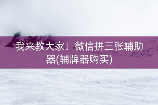 我来教大家！微信拼三张辅助器(辅牌器购买)
