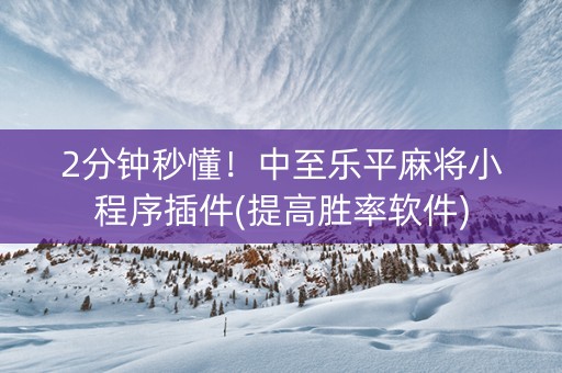 2分钟秒懂！中至乐平麻将小程序插件(提高胜率软件)