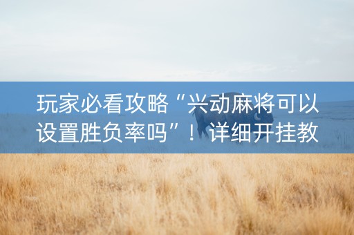 玩家必看攻略“兴动麻将可以设置胜负率吗”！详细开挂教程（确实真的有挂)-知乎