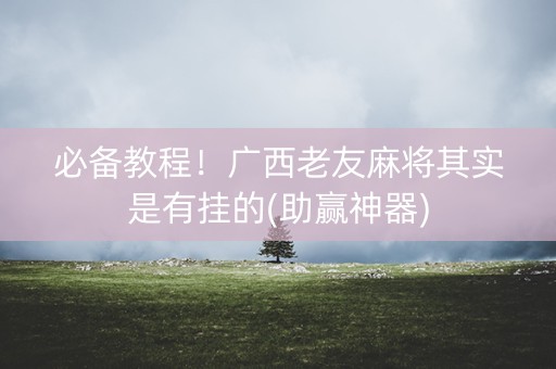 必备教程！广西老友麻将其实是有挂的(助赢神器)