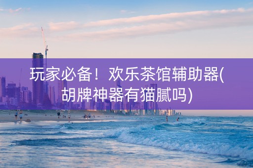 玩家必备！欢乐茶馆辅助器(胡牌神器有猫腻吗)