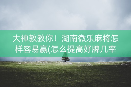 大神教教你！湖南微乐麻将怎样容易赢(怎么提高好牌几率)
