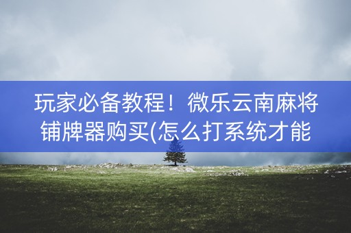 玩家必备教程！微乐云南麻将铺牌器购买(怎么打系统才能给好牌)