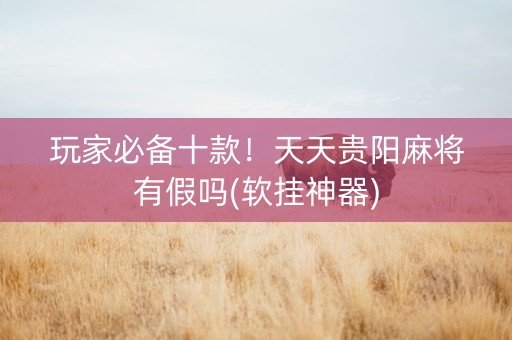 玩家必备十款！天天贵阳麻将有假吗(软挂神器)