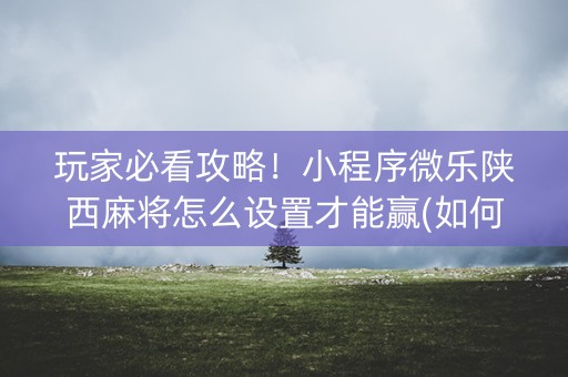 玩家必看攻略！小程序微乐陕西麻将怎么设置才能赢(如何打赢有插件吗)