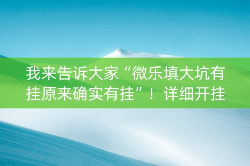 我来告诉大家“微乐填大坑有挂原来确实有挂”！详细开挂教程（确实真的有挂)-知乎
