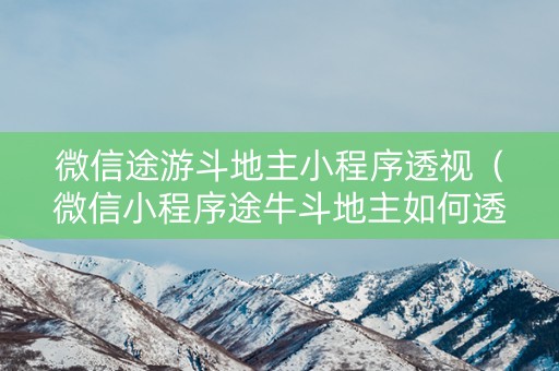 微信途游斗地主小程序透视（微信小程序途牛斗地主如何透视底牌）