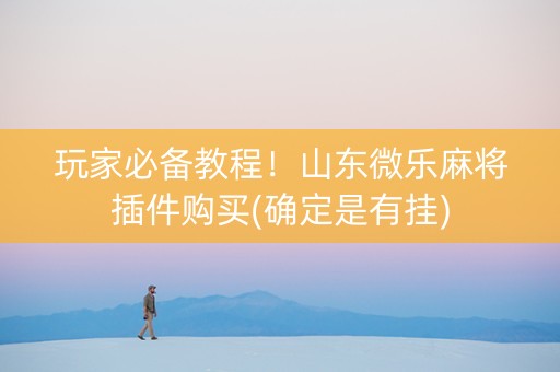 玩家必备教程！山东微乐麻将插件购买(确定是有挂)