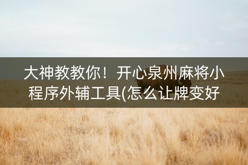 大神教教你！开心泉州麻将小程序外辅工具(怎么让牌变好)