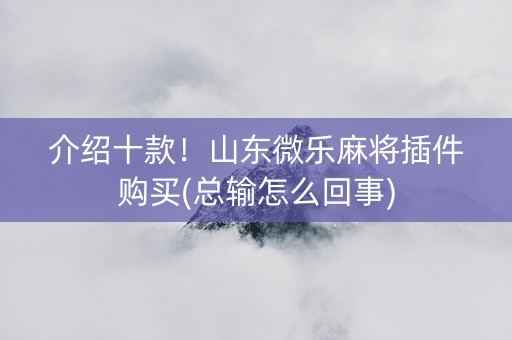 介绍十款！山东微乐麻将插件购买(总输怎么回事)