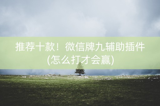 推荐十款！微信牌九辅助插件(怎么打才会赢)