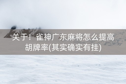 关于！雀神广东麻将怎么提高胡牌率(其实确实有挂)