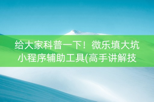 给大家科普一下！微乐填大坑小程序辅助工具(高手讲解技术)