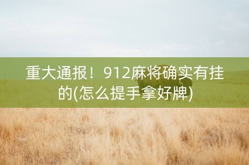重大通报！912麻将确实有挂的(怎么提手拿好牌)