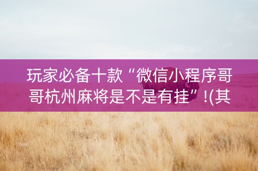 玩家必备十款“微信小程序哥哥杭州麻将是不是有挂”!(其实确实有挂)-知乎