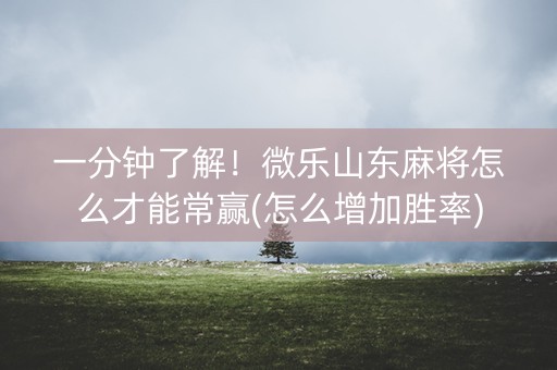 一分钟了解！微乐山东麻将怎么才能常赢(怎么增加胜率)