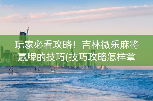 玩家必看攻略！吉林微乐麻将赢牌的技巧(技巧攻略怎样拿好牌)