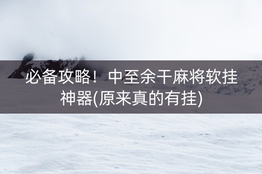 必备攻略！中至余干麻将软挂神器(原来真的有挂)