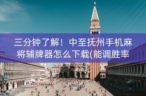 三分钟了解！中至抚州手机麻将辅牌器怎么下载(能调胜率吗)