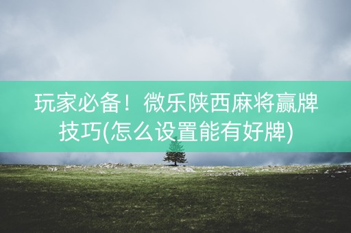 玩家必备！微乐陕西麻将赢牌技巧(怎么设置能有好牌)