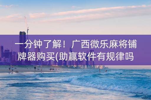 一分钟了解！广西微乐麻将铺牌器购买(助赢软件有规律吗)
