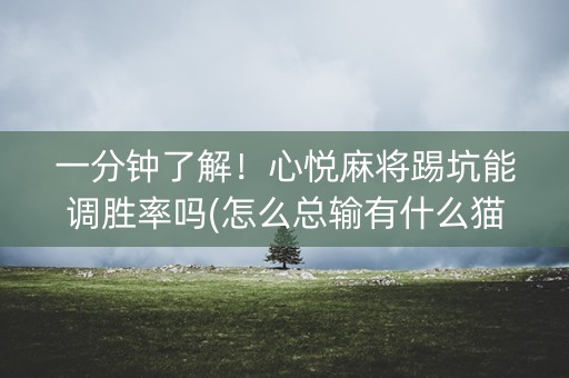 一分钟了解！心悦麻将踢坑能调胜率吗(怎么总输有什么猫腻)