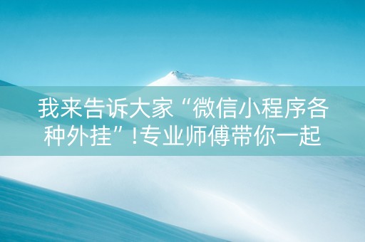 我来告诉大家“微信小程序各种外挂”!专业师傅带你一起了解（详细教程）-知乎