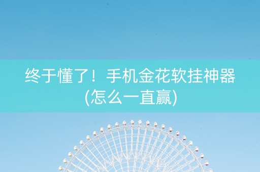 终于懂了！手机金花软挂神器(怎么一直赢)
