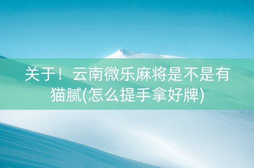 关于！云南微乐麻将是不是有猫腻(怎么提手拿好牌)