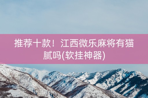 推荐十款！江西微乐麻将有猫腻吗(软挂神器)