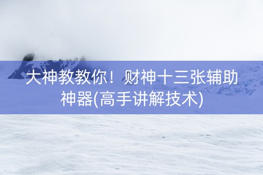 大神教教你！财神十三张辅助神器(高手讲解技术)